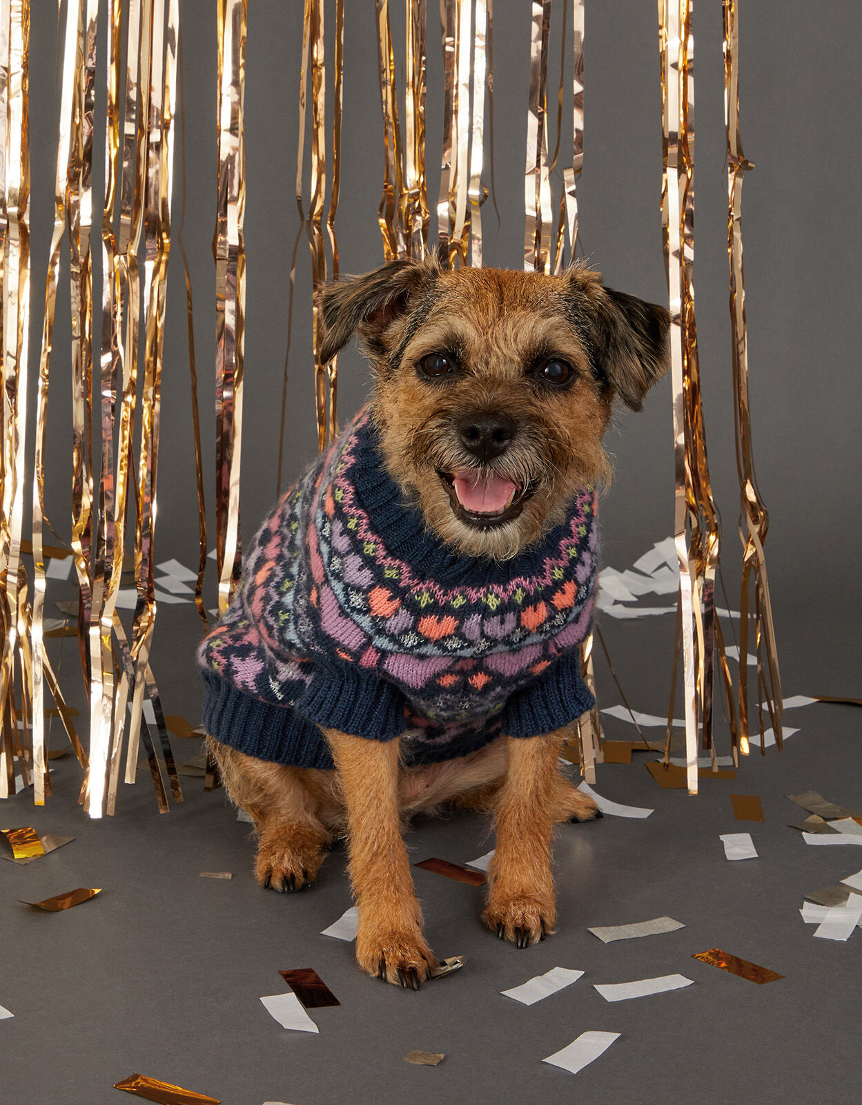 Fairisle hotsell dog jumper