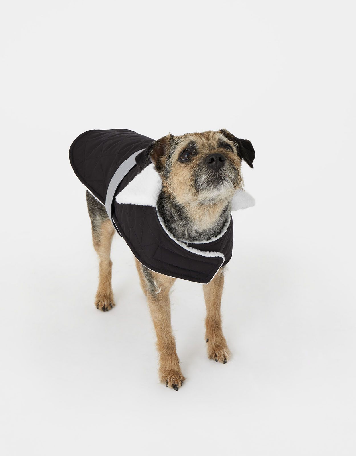 Quilted Dog Jacket with Reflector Strap Black