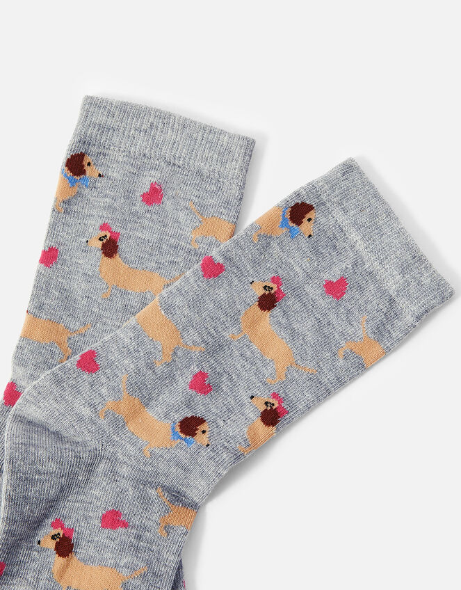 All Over Sausage Dog Socks Socks & Tights Accessorize UK