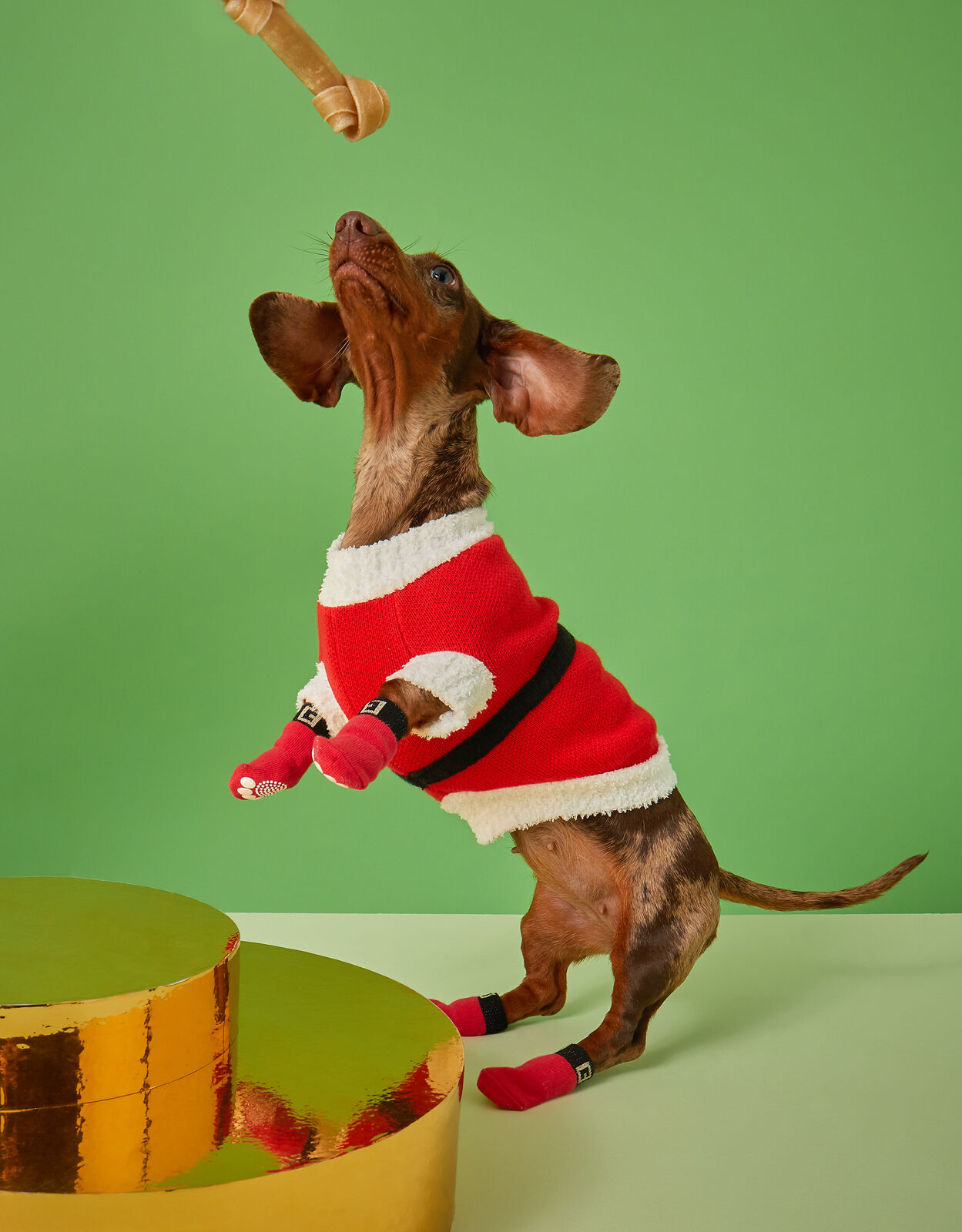 Accessorize dog jumper hotsell