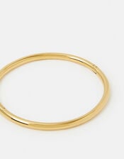 Stainless Steel Clasp Bangle, , large