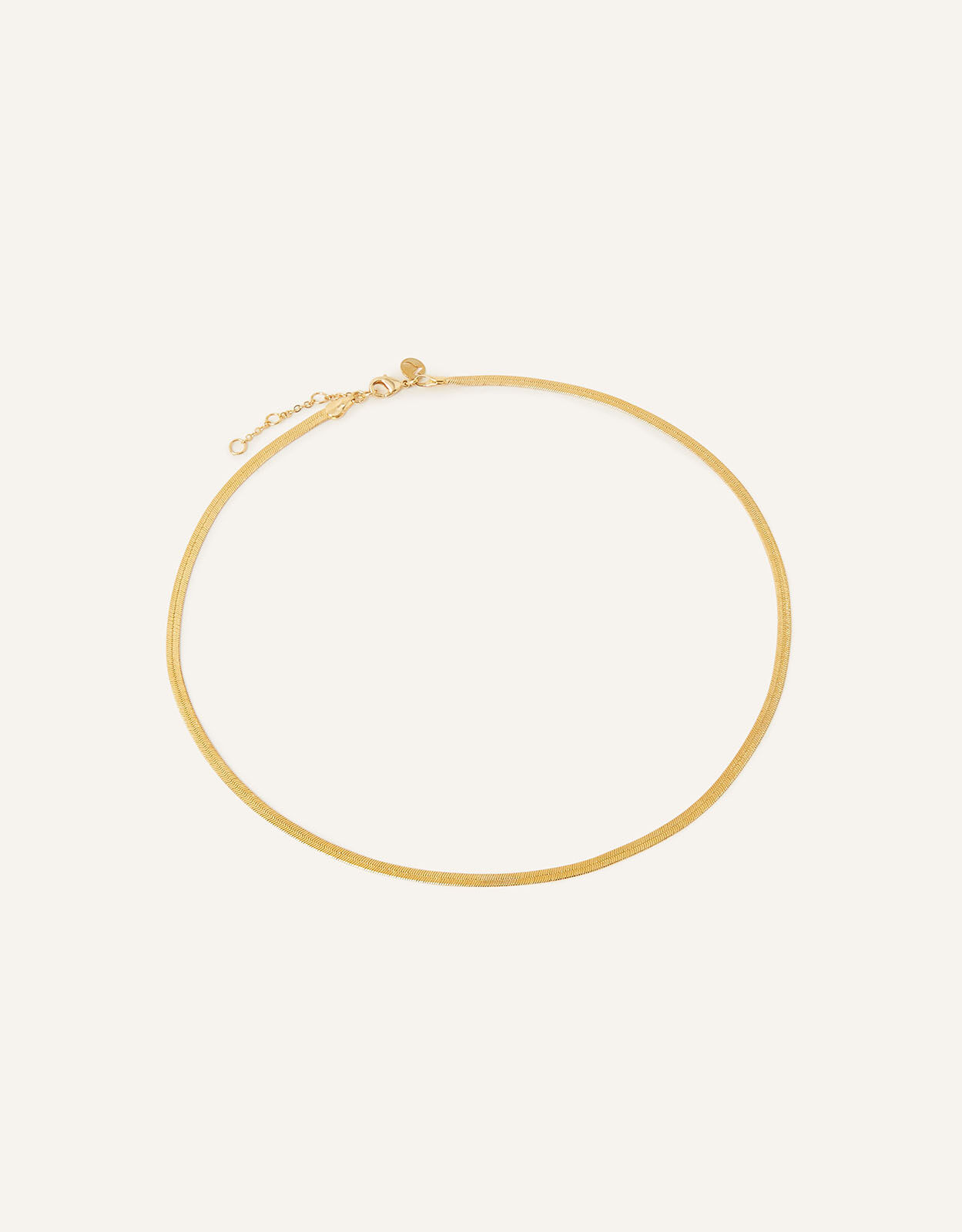 Gold-Plated Snake Chain Necklace | Z 