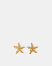 Stainless Steel Starfish Stud Earrings, , large