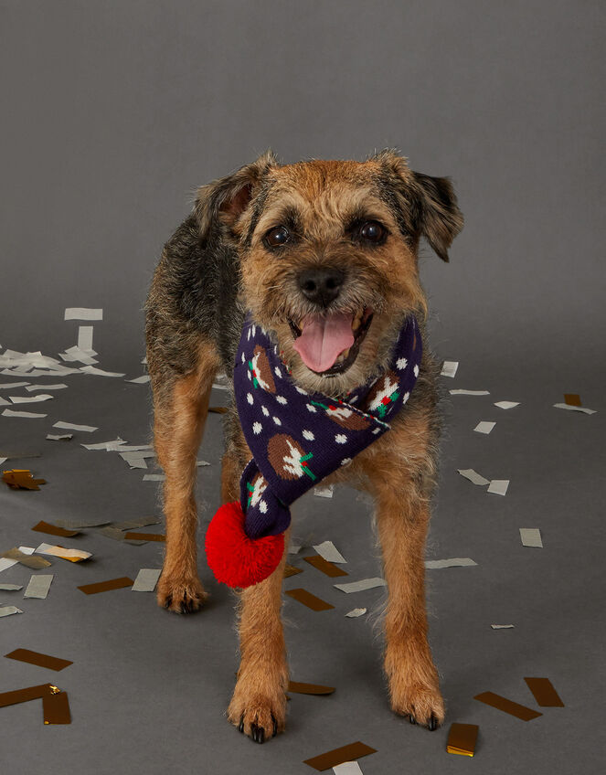 Christmas Pudding Dog Scarf, Blue (NAVY), large