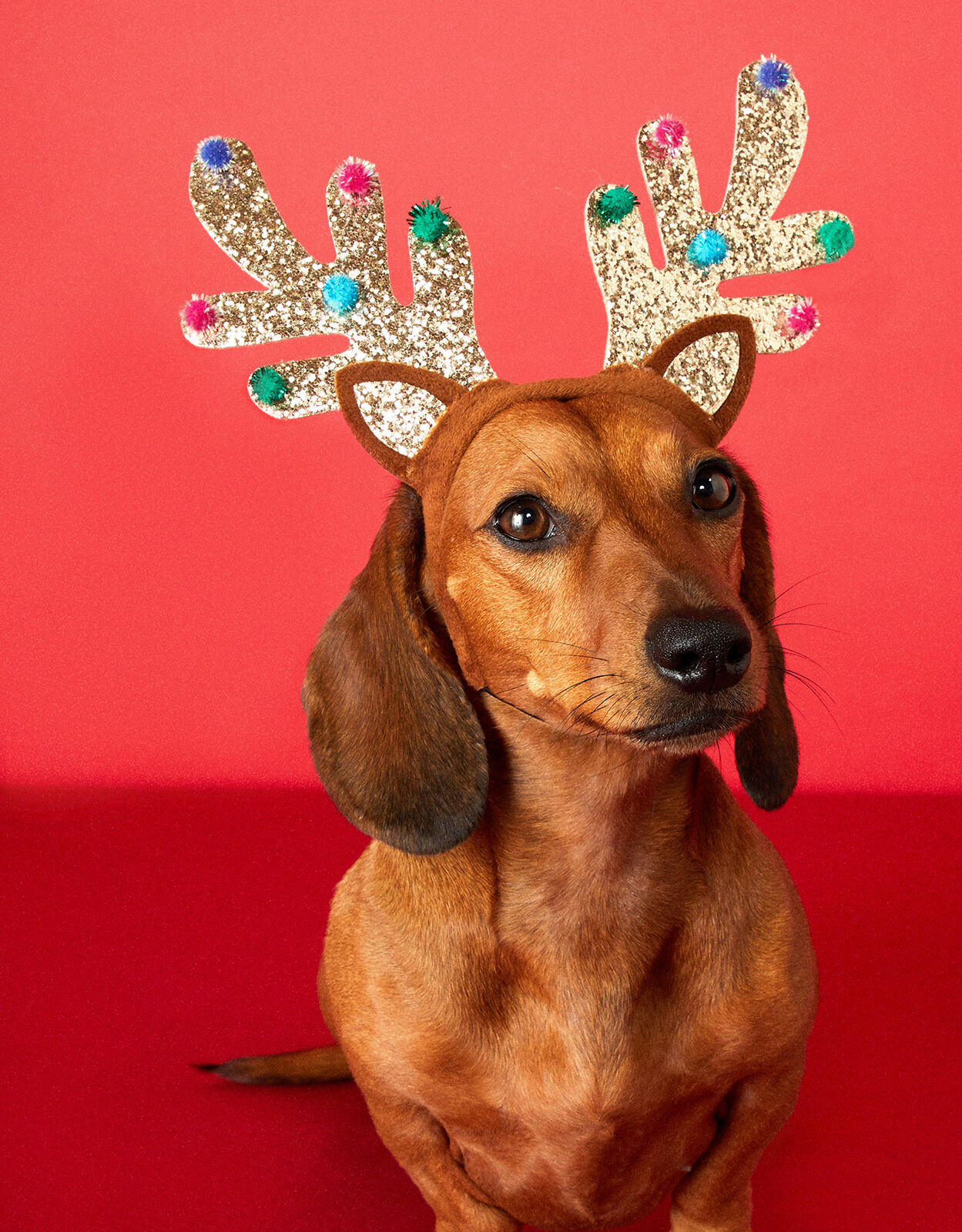 Glitter shop reindeer headband