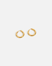 Stainless Steel Small Chunky Hoop Earrings Gold, Gold (GOLD), large
