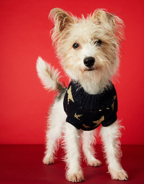 Starry Night Dog Jumper Blue Gifts for pets Accessorize Global