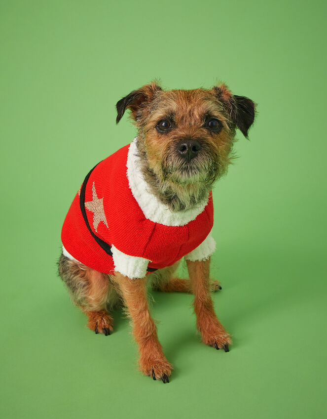 Santa Dog Jumper, Red (RED), large