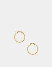 Medium Stainless Steel Hoop Earrings, , large