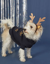 Starry Sky Knit Dog Jumper, Blue (NAVY), large
