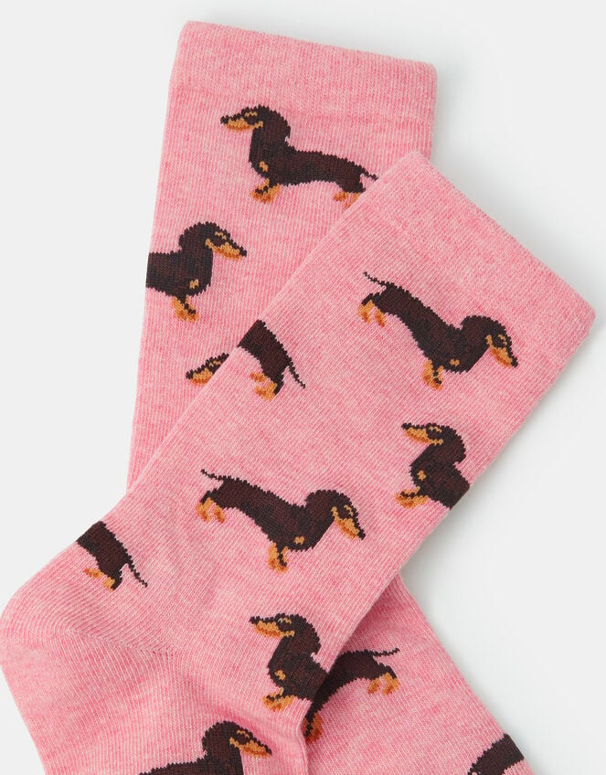 Sausage Dog Print Socks, , large