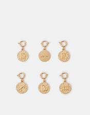 Horoscope Jewellery Charm, Gold (GOLD), large