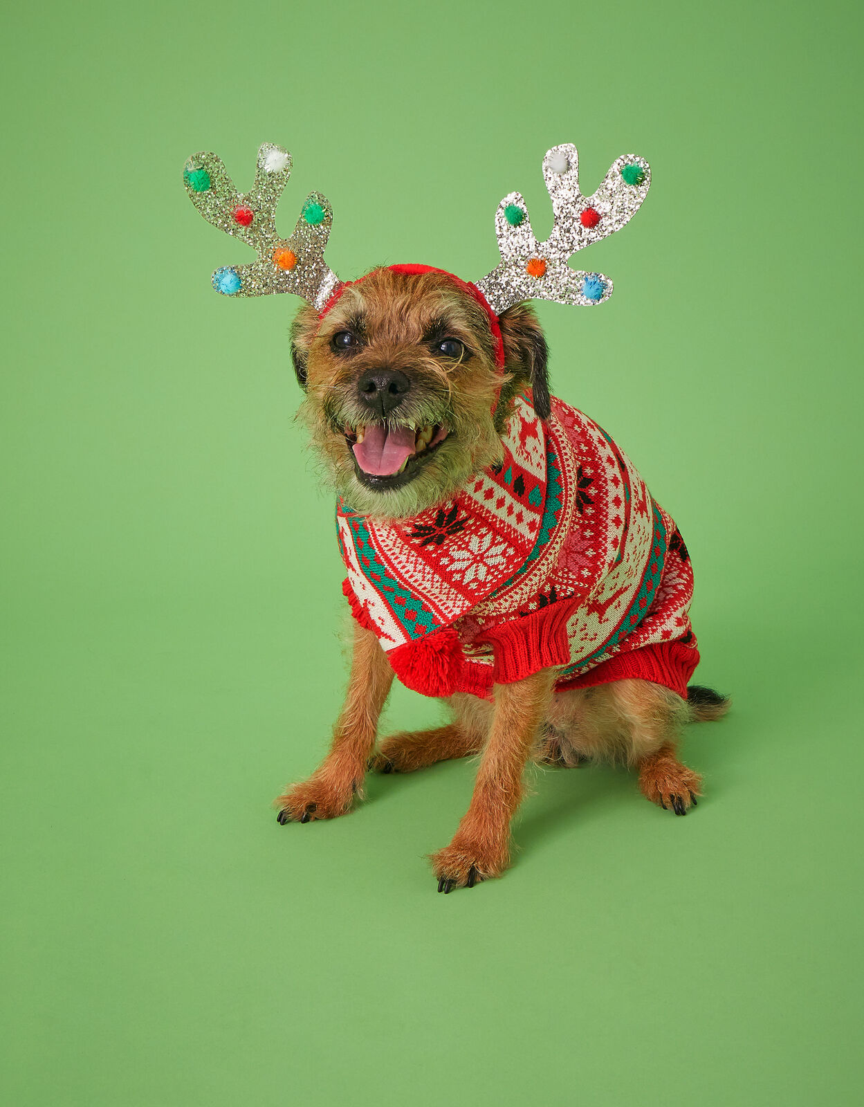 Accessorize dog clothes deals