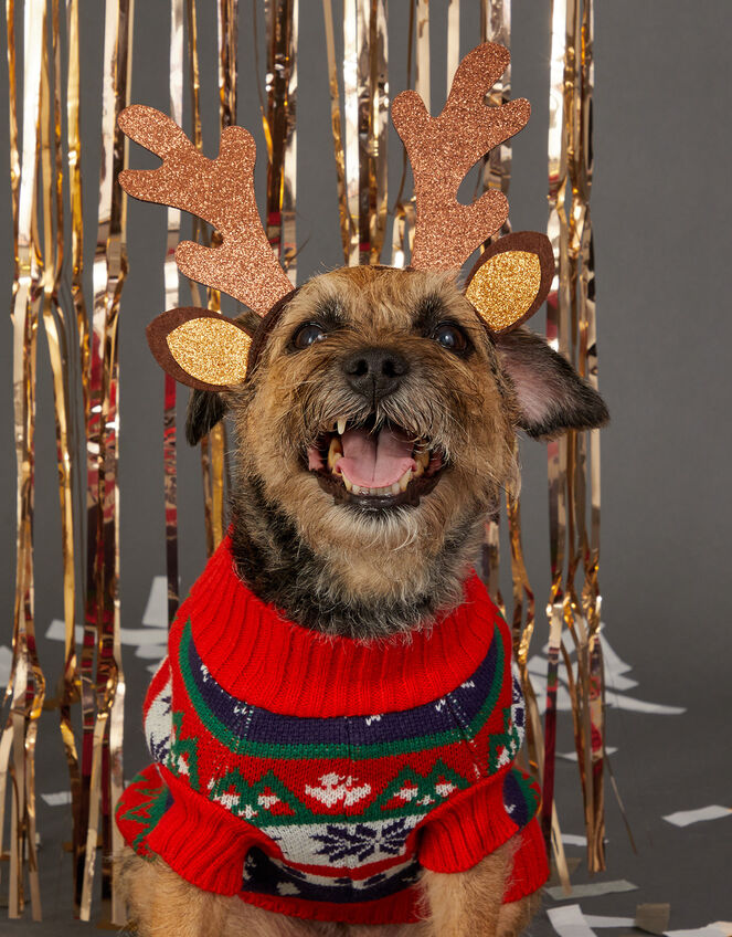 Glitter Antler Dog Headband, Brown (BROWN), large