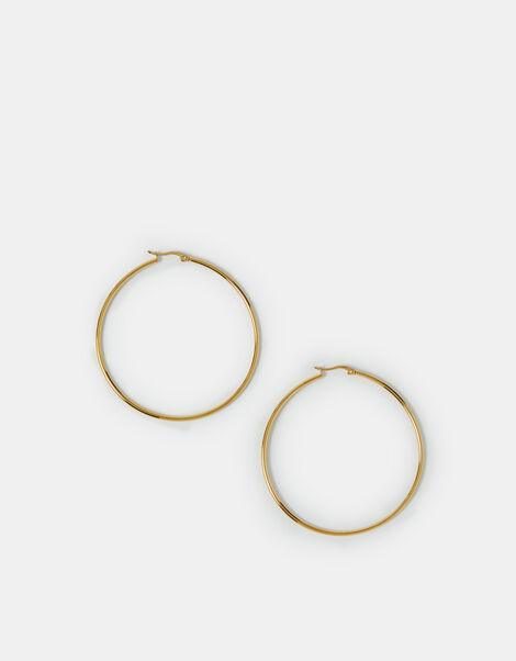 Stainless Steel Hoop Earrings , , large