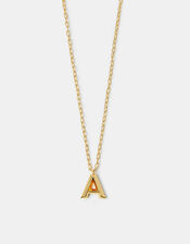 14ct Gold-Plated Long Initial Pendant Necklace, Gold (GOLD), large