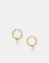 14ct Gold-Plated Stainless Steel Pearl Hoop Earrings, , large