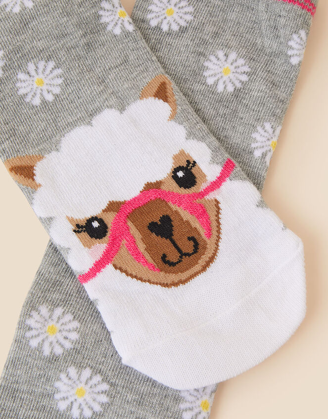 Llama Face Socks, , large