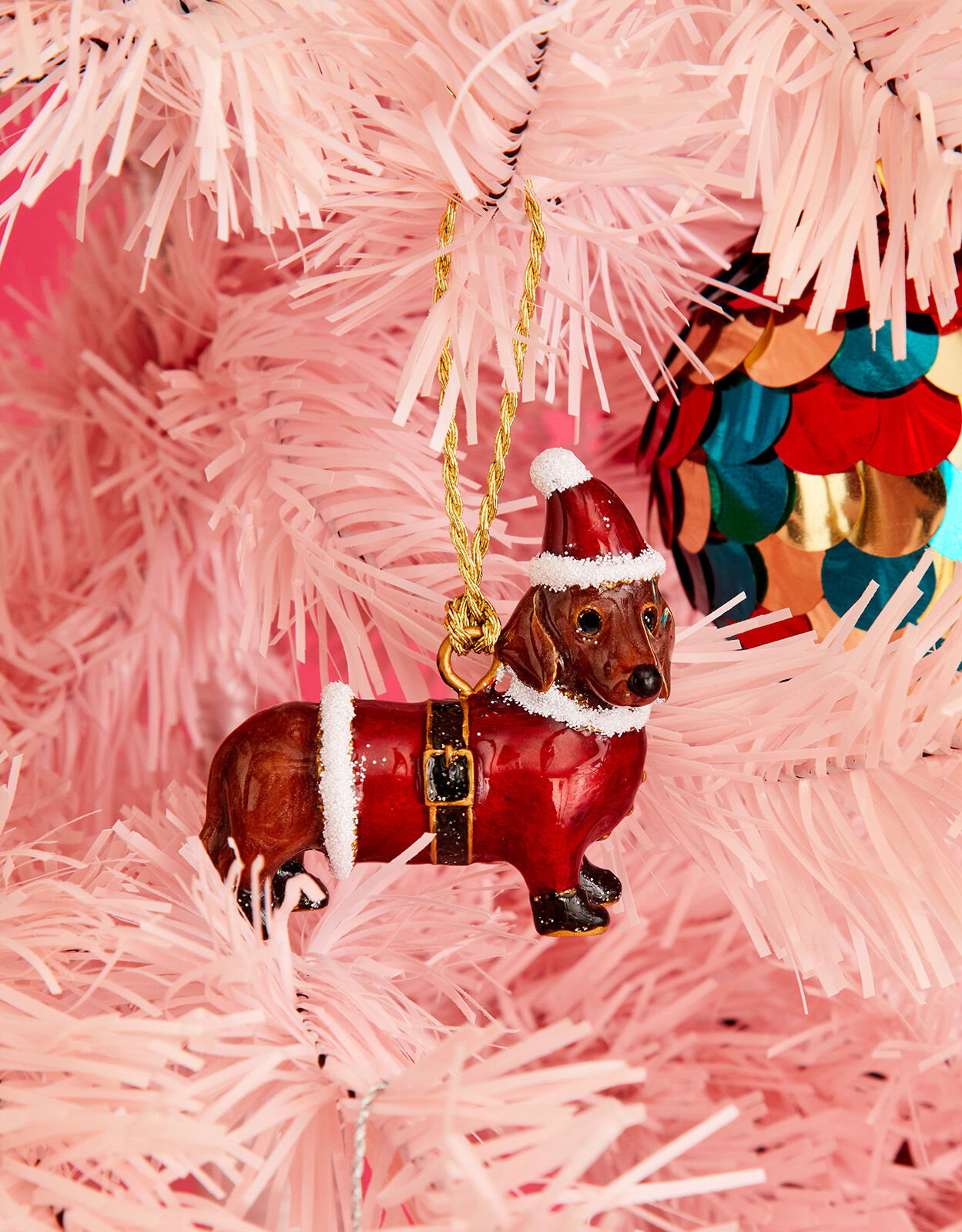 Sausage dog shop house accessories