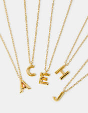 14ct Gold-Plated Long Initial Pendant Necklace, Gold (GOLD), large
