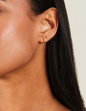 Stainless Steel Plain Hoops, , large