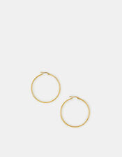 Large Stainless Steel Hoop Earrings, , large