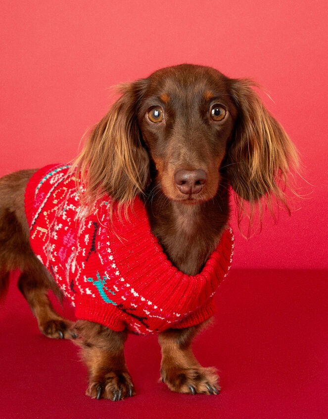 Love Christmas Fair Isle Dog Jumper, Red (RED), large