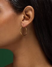 Stainless Steel Medium Hoop Earrings, , large