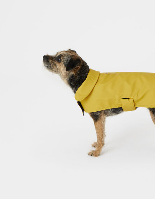 Dog Raincoat , Yellow (YELLOW), large