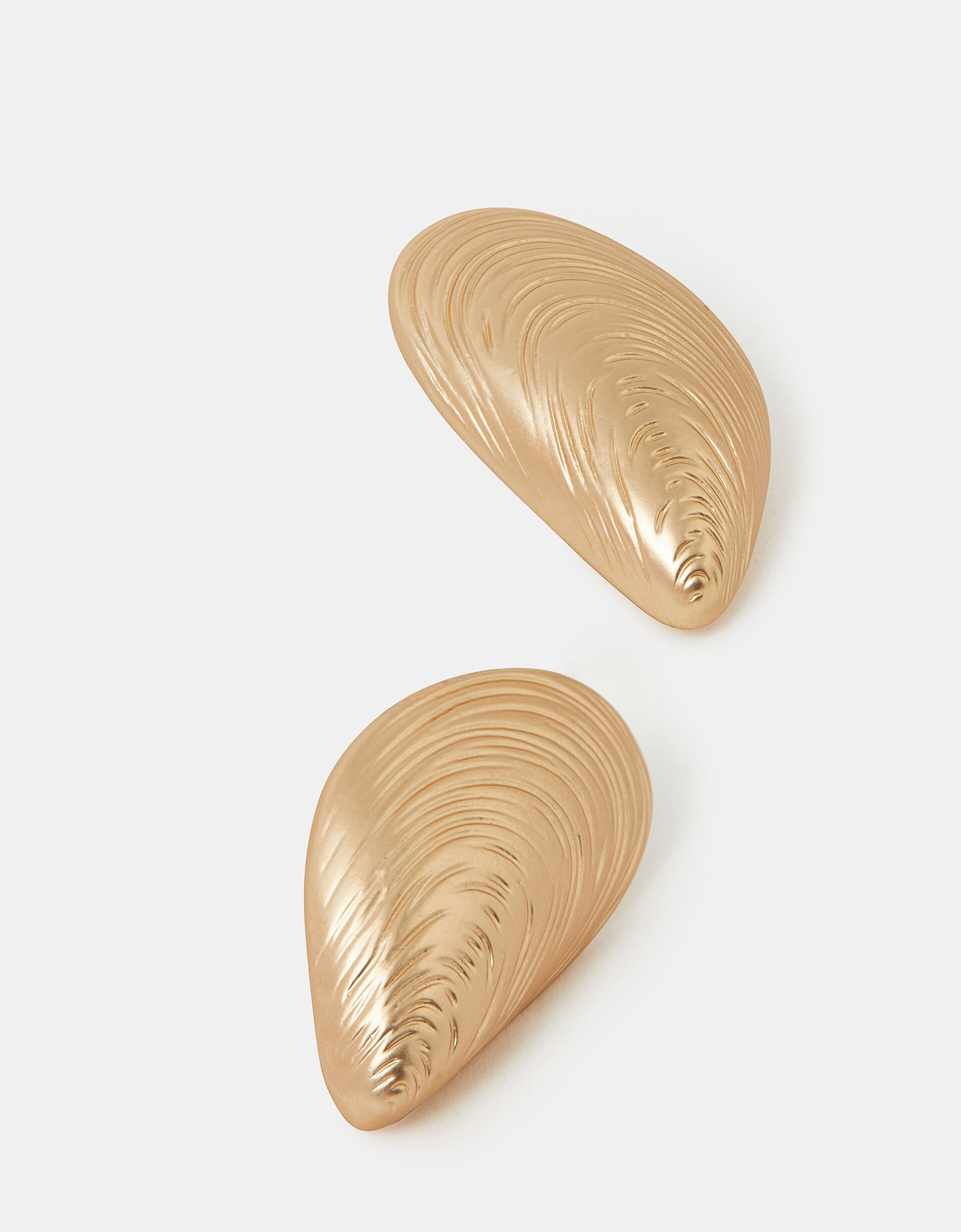 accessorize Brushed Seashell Stud Earrings