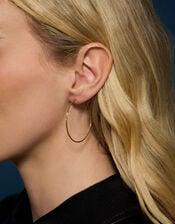 14ct Gold-Plated Medium Hoop Earrings, , large