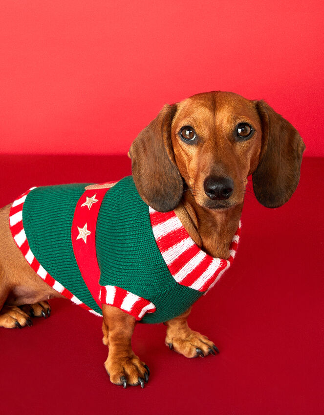 Elf Dog Jumper, Green (GREEN), large