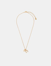 Lucky Charm Necklace, , large