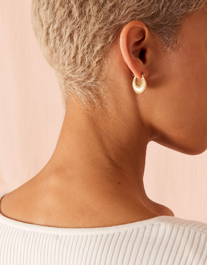Croissant and Ribbed Oval Hoops Set of Two, , large
