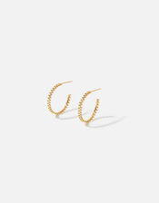 Gold-Plated Bobble Hoop Earrings, , large