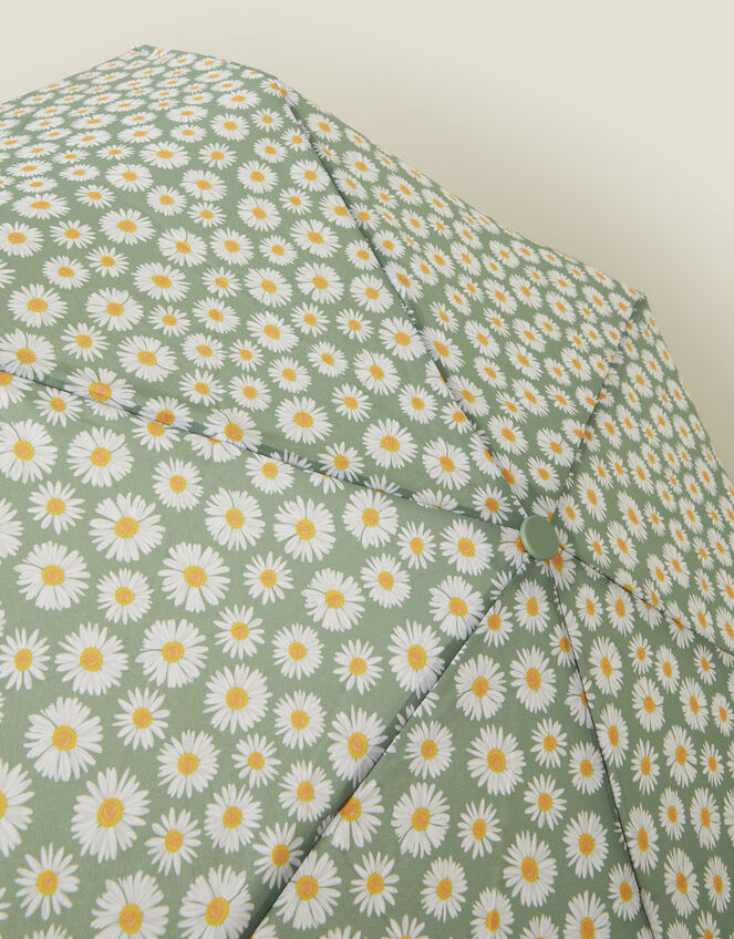 Daisy Print Umbrella , , large