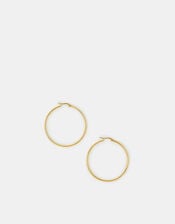 Large Stainless Steel Hoop Earrings, , large