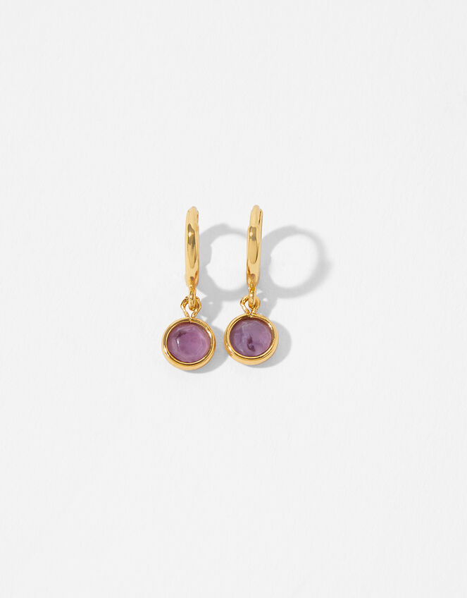 Gold-Plated Birthstone Earrings - February, , large