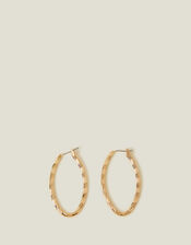 Twisted Oval Hoops, , large