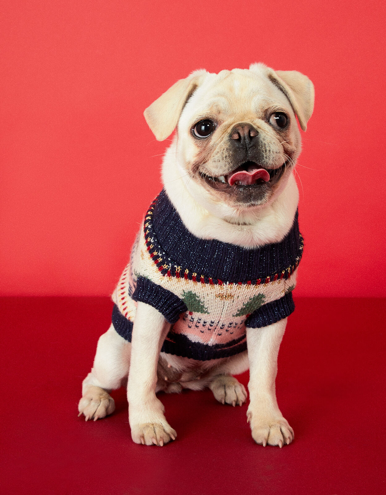 Accessorize dog hot sale clothes