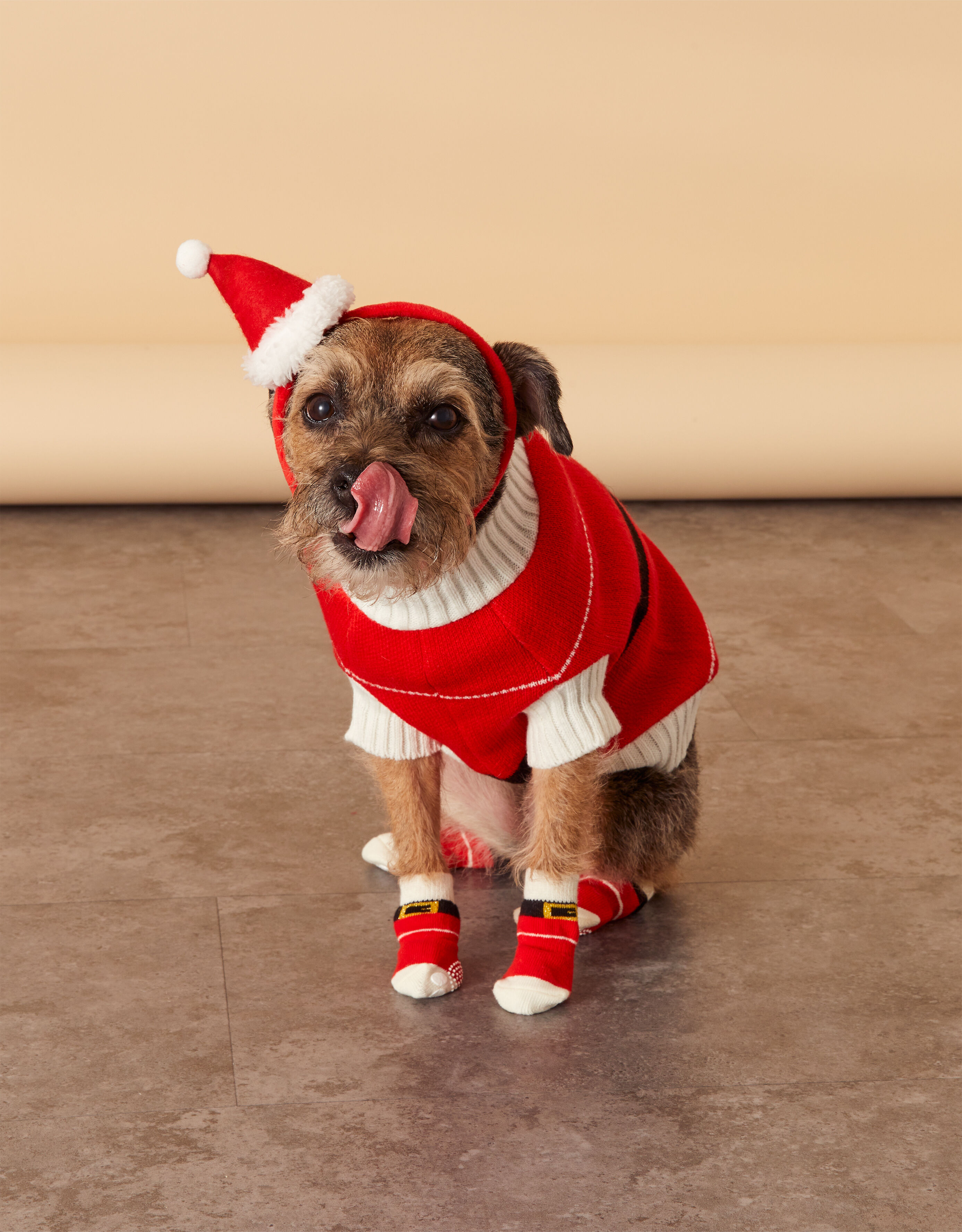 Festive Santa Dog Clothing Set