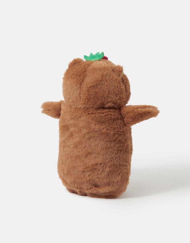 Girls Fluffy Capybara Pencil Case, , large