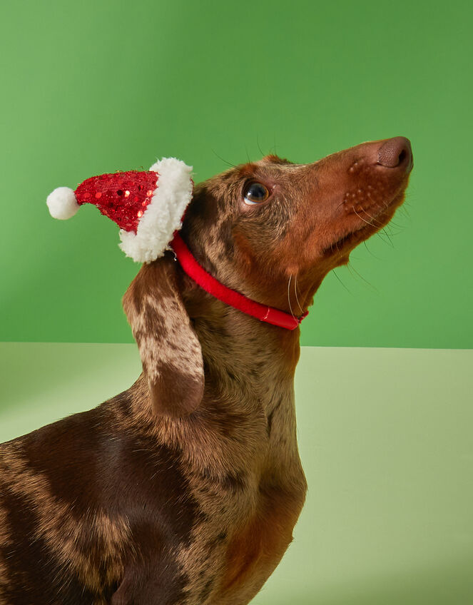 Santa Dog Headband, Red (RED), large
