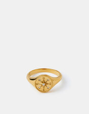 Stainless Steel Compass Coin Ring, Gold (GOLD), large