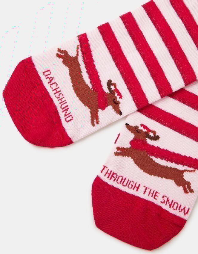 Stripy Dachshund Christmas Socks, , large