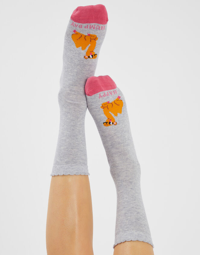 Happy Hump Day Socks, , large