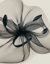 Large Crin Fascinator, Black (BLACK), large