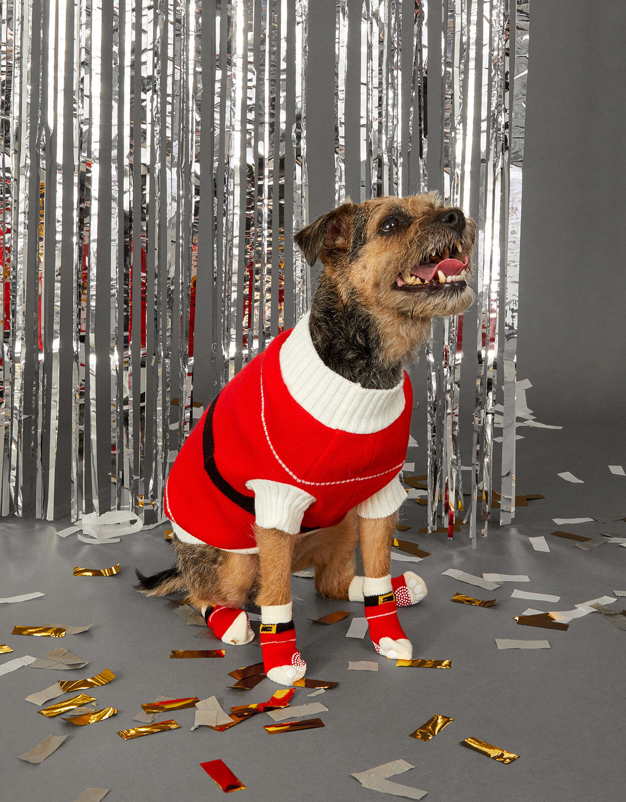Christmas top dog booties