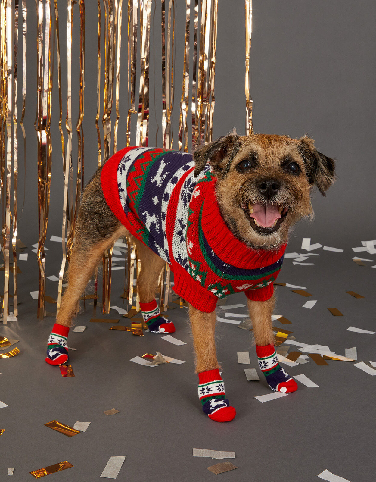 Christmas dog booties store