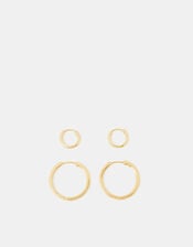 2-Pack 14ct Gold-Plated Hoop Earrings, , large